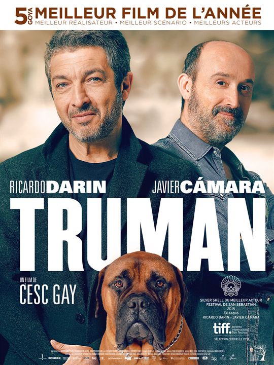 Affiche